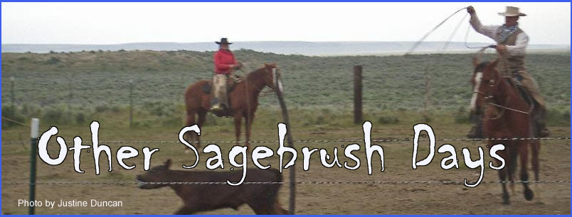 Graphic header for Other Sagebrush stories