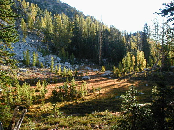  Fall color on Flora Mountain